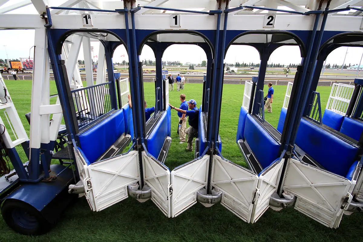 The starting gate positioned on the grass course before a race