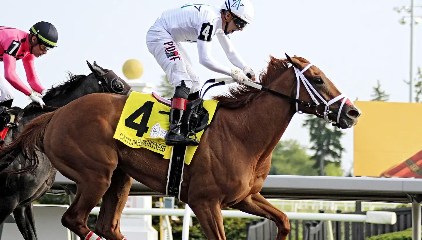 Two Thoroughbreds racing side by side on the grass course at Woodbine